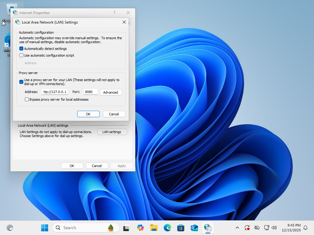 Proxy enabled in LAN settings